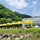 평창in게스트하우스 이미지