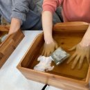 전남권환경성질환예방관리센터 | [보성군] 전남권환경성질환예방관리센터 우수웰니스 관광지 3회 연속 선정