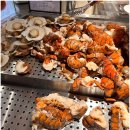 서비스월드(전북지점) | 잠실 바이킹스워프 헤리티지점 리뉴얼 후기 랍스터 무제한 뷔페 롯데월드몰 주차 가는방법