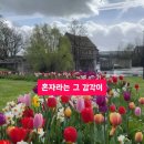 건축사사무소시월