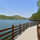 장성호수변길 이미지