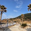 제주기와 <b>제주</b>에서 <b>기와</b>를 구웠던 가마터, ‘함덕리 와요지(瓦窯址)’