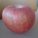 건호농장 이미지