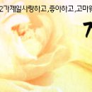 젤예쁜 이미지