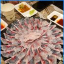 성진보석 - 구리시 검배로 18 | 속초시맛집 대포항횟집 추천, 신선함이 살아있는 '성진활어' 대포항맛집 후기