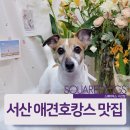 스퀘어독스 서산점 이미지