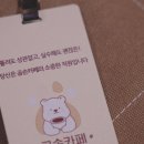 곰손카페