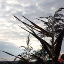 용머리고을 이미지