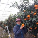 월광농장 이미지