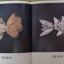 하얀물고기 이미지
