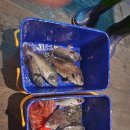 인천낚시터 이미지