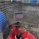 옥성자연휴양림 | 경북 구미 아이와 가볼만한 곳 옥성자연휴양림 네트모험시설, 물놀이 무료 이용