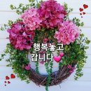 빵심이네 이미지