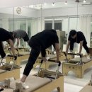 뉴펠리스