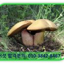 안성컴퓨터세탁 이미지