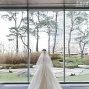 윤성조경 | 아펠가모 광화문 본식스냅 촬영 후기 / 윤성스냅 대표 1인 촬영