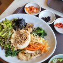 고스란 | 26.03.12 세종시 보람동 내돈내산 혼밥 추천) 건강한 제철 비빔밥 : 고스란 🍲🍵