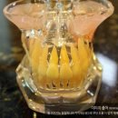 임플라인 치과의원 이미지