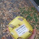 봉구스밥버거(광주대점) 이미지