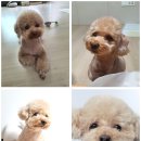 웅살롱 이미지