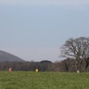 수도 한우목장 이미지