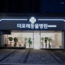 포레동물병원 네이버블로그