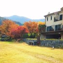 호미인문경 이미지