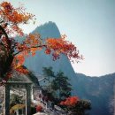 화산여행사 이미지