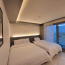 퍼플 315 이미지