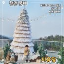 동남(풍세)-18-04 | 천안 풍세 아기랑 가기 좋은 크리스마스 대형 카페 시유당