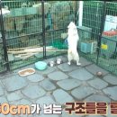 복돌이식당