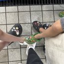 솔향강릉카라반캠핑장 이미지