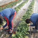 두학농장 이미지