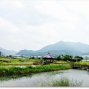 자연속의 펫 이미지