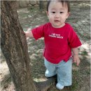 예솔어린이집 - 제주시 | 대화동에서 송포동어린이집 찾는다면, 야간연장과 시간제보육까지 가능한 대화예솔어린이집이 답이에요