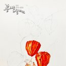 보타니컬아트 (중급) 이미지