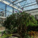 엔젤 식물원 이미지