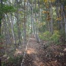 강근영민박 이미지