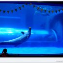 장생포고래박물관 이미지