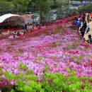 군포-산본-2017 이미지