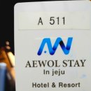 스테이 인 제주(stay in jeju) 이미지