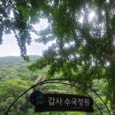 377차 계룡산 산행사진 이미지