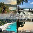 맑고고운숲 - 정선군 의림로 118 | [태국 푸켓] 내가 가본 푸켓 바다 4곳 비교｜빠통비치·카론비치·프리덤비치·시밀란 섬 후기