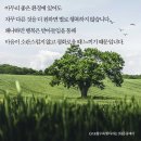 좋은환경 이미지