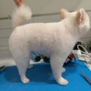 나보다 예쁘개 이미지