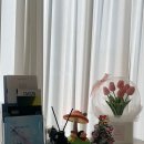 정에스테틱 (동탄점)