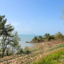 수미떡방앗간 이미지