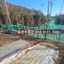 합성동105 이미지