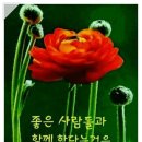 제19회 한국추사서화예술전국공모대전 시상관련 행사 생략안내 [5/8 시상식 행사 생략] 이미지