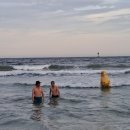 태풍민박 이미지